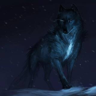 Wolf desktop 4k wallpaper