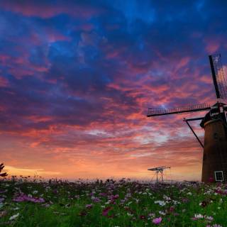 Windmill 4k wallpaper