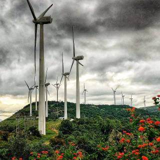 Windmill phone wallpaper