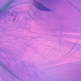 White and purple 4k wallpaper