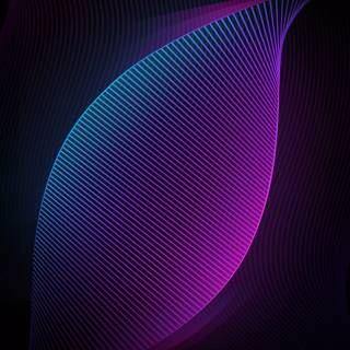 White and purple 4k wallpaper