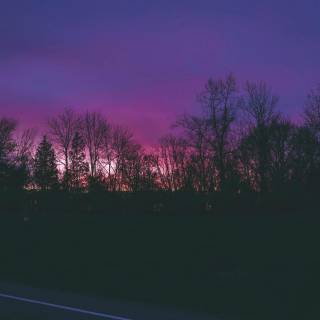 White and purple 4k wallpaper