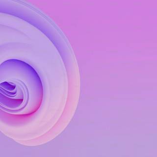 White and purple 4k wallpaper