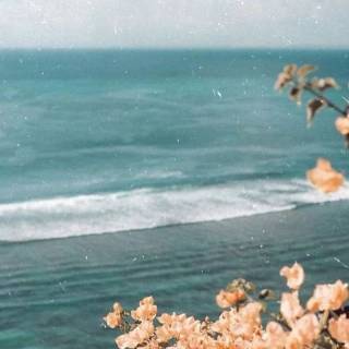 Aesthetic beach phone wallpaper