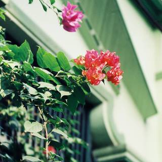 Vintage aesthetic 4k wallpaper