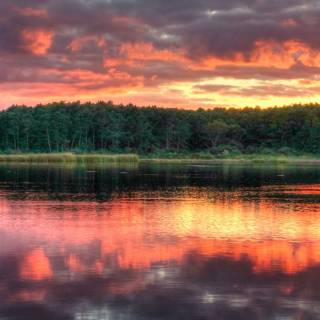 South Beach 4k wallpaper