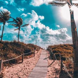 South Beach wallpaper