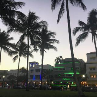 South Beach 4k wallpaper