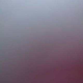 Solid colors phone wallpaper