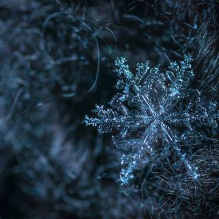 Snowflake 4k wallpaper