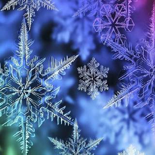 Snowflakes iPhone wallpaper
