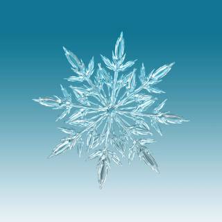 Snowflake 4k wallpaper