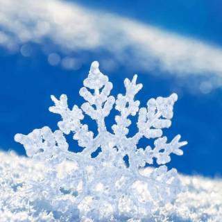 Snowflake wallpaper