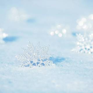 Snowflake 4k wallpaper