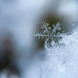 Snowflake 4k wallpaper