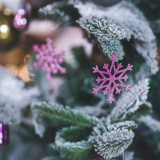 Snowflake 4k wallpaper