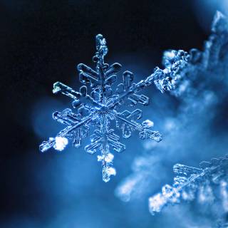 Snowflake 4k wallpaper