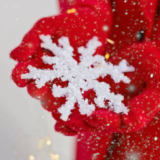 Snowflake 4k wallpaper