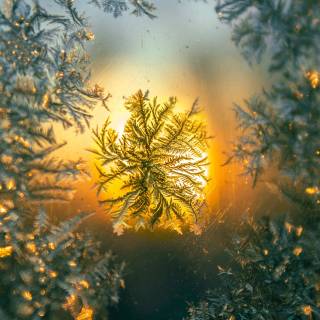 Snowflake 4k wallpaper