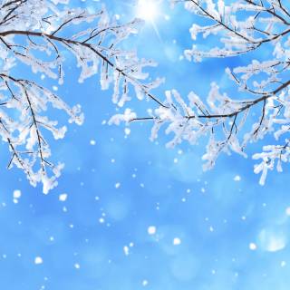 Snowflake 4k wallpaper