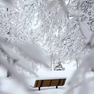 Snow 4k mobile wallpaper