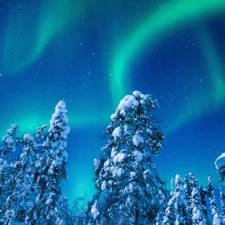 Snow 4k mobile wallpaper