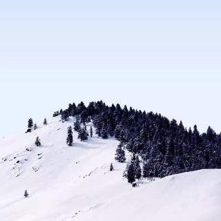 Snow 4k mobile wallpaper