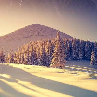 Snow 4k mobile wallpaper