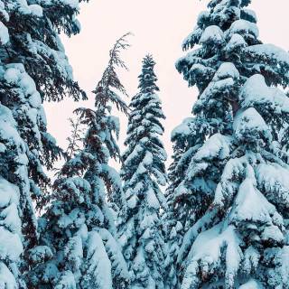 Snow 4k mobile wallpaper