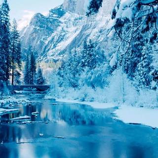 Snow 4k mobile wallpaper