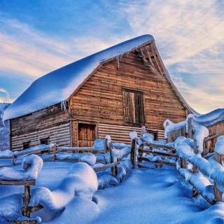 Snow 4k mobile wallpaper