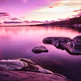 Purple nature 4k wallpaper