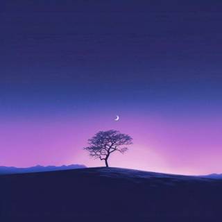 Purple nature 4k wallpaper