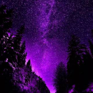 Purple night phone wallpaper