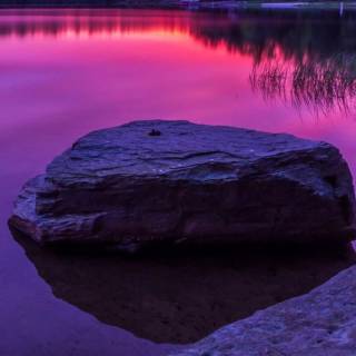 Purple view wallpaper