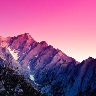 Purple nature 4k wallpaper