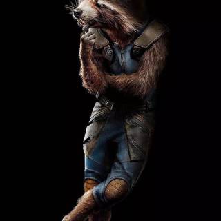 Rocket Raccoon 4k phone wallpaper