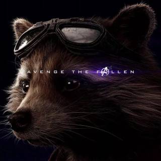 Rocket Raccoon 4k phone wallpaper