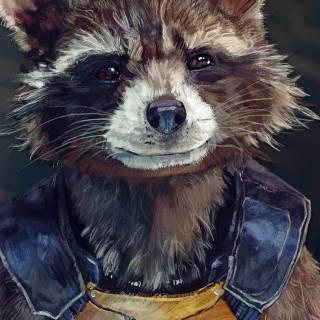 Rocket Raccoon 4k phone wallpaper