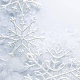 Snowflakes iPhone wallpaper