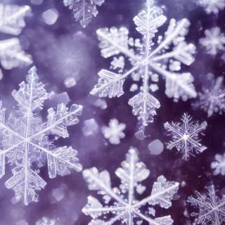 Snowflakes iPhone wallpaper