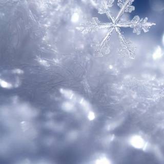 Snowflakes iPhone wallpaper