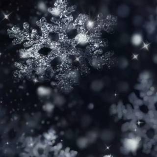 Snowflakes iPhone wallpaper
