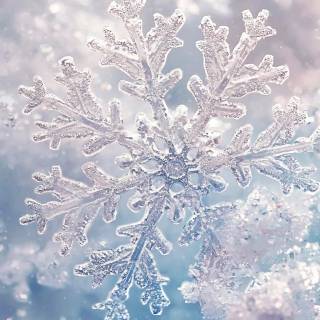 Snowflakes iPhone wallpaper