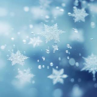 Snowflakes iPhone wallpaper