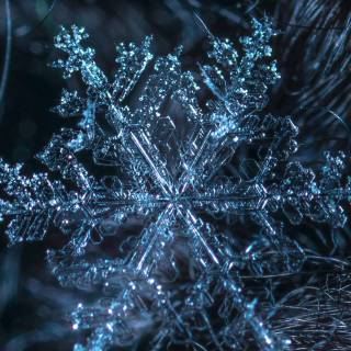 Snowflakes iPhone wallpaper