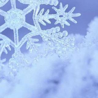 Snowflakes iPhone wallpaper