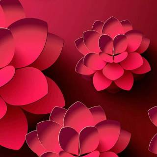 Red flowers phone wallpaper