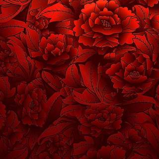 Red flowers phone wallpaper