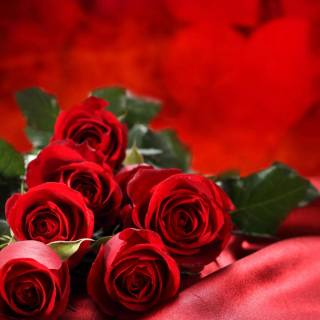 Red flowers phone wallpaper